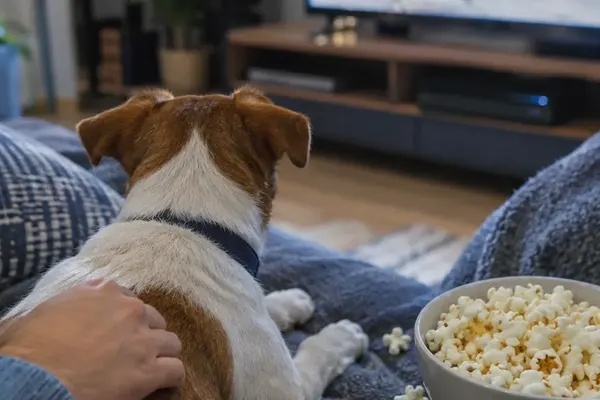 Pup! A Chew Story Companion: Characters, Canine Comedy, Songs, and Story Beats